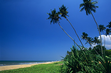 Image showing Kalutara  beach Sri Lanka