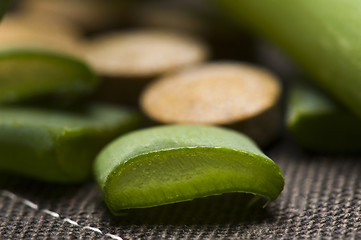 Image showing Aloe vera - herbal medicine 