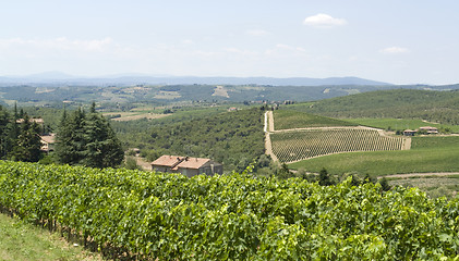 Image showing Chianti in Tuscany