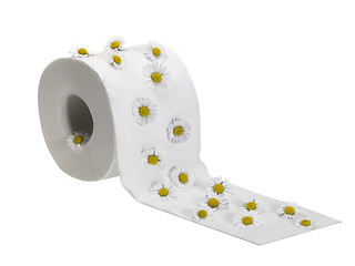 Image showing toilet paper roll decorated with daisy flowers