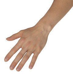 Image showing relaxed feminine hand