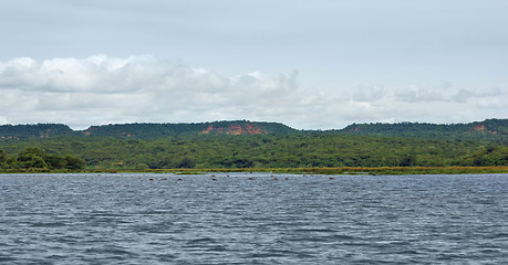 Image showing around Murchison Falls National Park in Uganda
