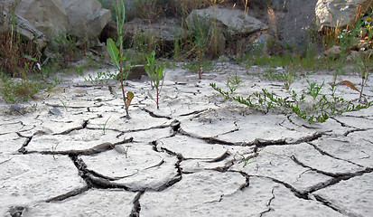 Image showing chapped desert border