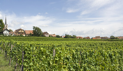 Image showing Mittelbergheim in Alsace