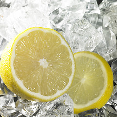 Image showing citrus fruits and ice