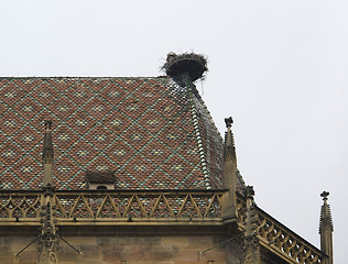 Image showing storkÂ´s nest on roof top