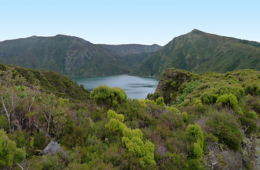 Image showing overgrown lakeside scenery at the Azores