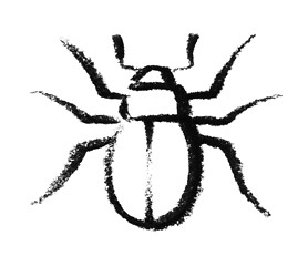 Image showing sketched beetle