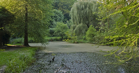 Image showing overgrown tarn in the Liliental