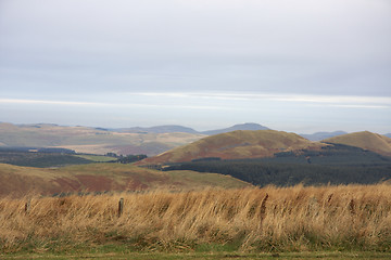 Image showing hilly scenery at scottish  frontier