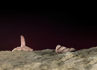 Image showing clutchin hands on stone surface