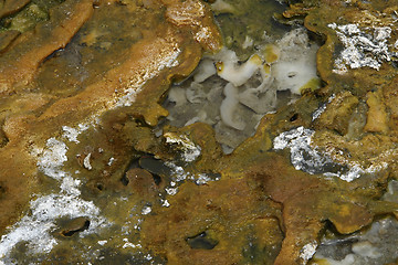 Image showing detail of hot spring organics