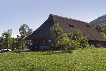 Image showing traditional Black Forest farmstead