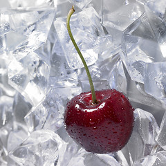 Image showing red cherry on ice