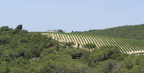 Image showing Chianti in Tuscany