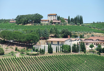 Image showing Chianti in Tuscany