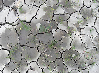 Image showing almost dry soil