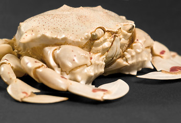 Image showing low angle moon crab detail