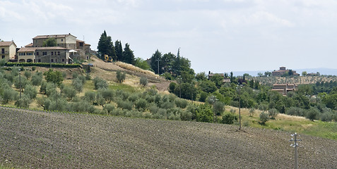 Image showing Chianti in Tuscany