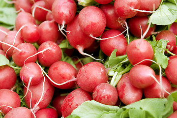 Image showing full frame radish background