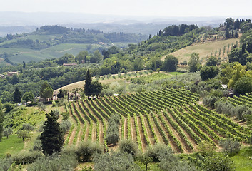 Image showing Tuscany landscape