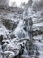 Image showing Todtnau Waterfall at winter time