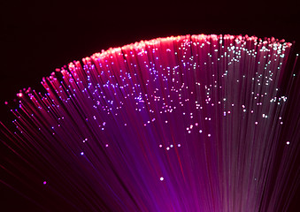 Image showing plastic optical fibers
