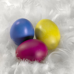 Image showing colored Easter eggs and down feathers