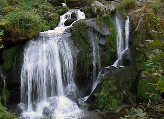 Image showing idyllic Triberg Waterfalls