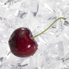 Image showing red cherry on ice