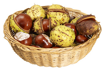 Image showing horse chestnuts