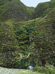 Image showing hilly Azores landscape