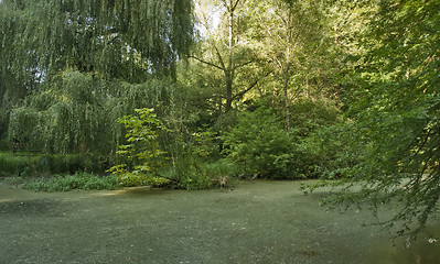 Image showing overgrown tarn in the Liliental