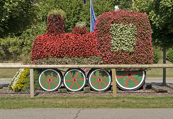 Image showing sunny illuminated flower train