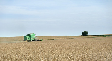 Image showing harvester in a crop field