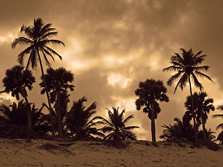 Image showing carribean evening scenery