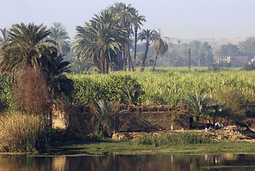 Image showing River Nile scenery between Aswan and Luxor