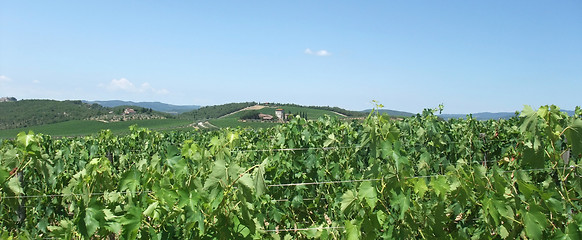 Image showing Chianti in Tuscany