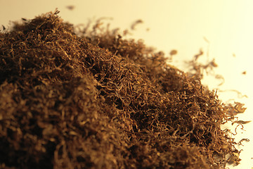Image showing pile of tobacco