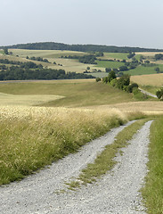 Image showing rural panoramic scenery with farm track