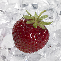 Image showing red strawberry on ice