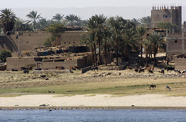 Image showing waterside Nile scenery in Egypt