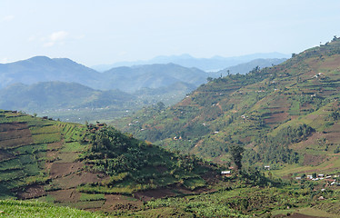 Image showing Virunga Mountains in Uganda