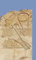 Image showing relief at the Mortuary Temple of Hatshepsut