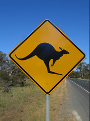 Image showing Beware of kangaroo