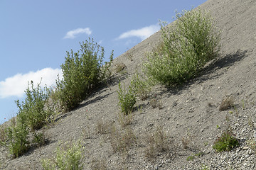 Image showing diagonal spoil pile