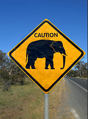 Image showing Beware of elephants