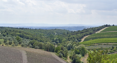 Image showing Chianti in Tuscany