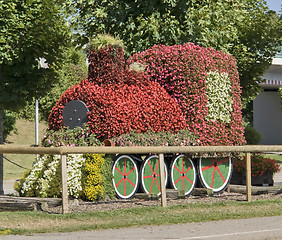 Image showing flower train at summer time