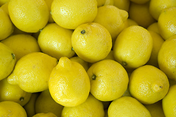 Image showing full frame citron background